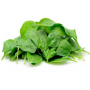 Spinach 220G