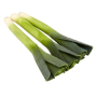 Leeks Loose Class 2